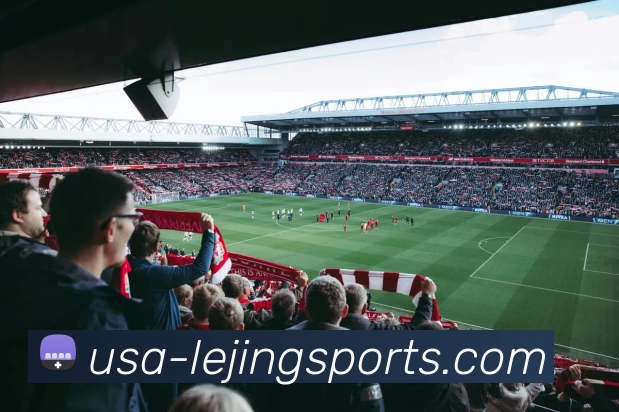 App Interface Preview